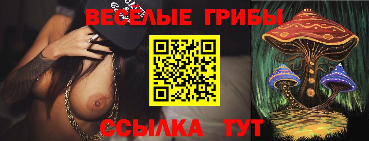 Ялта  Псилоцибиновые грибы GOLDEN TEACHER  Вход с VPN 